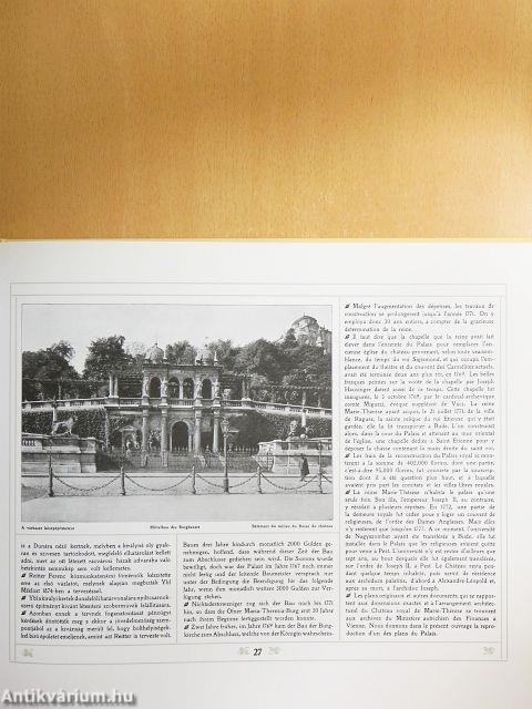 A magyar királyi vár