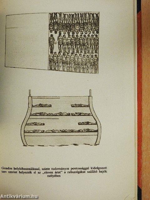 Amiről a térkép mesél