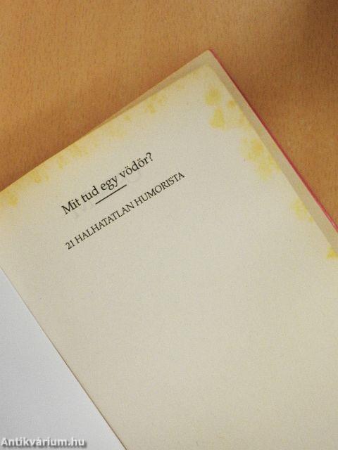 Mit tud egy vödör?