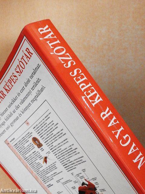 Angol-magyar képes szótár