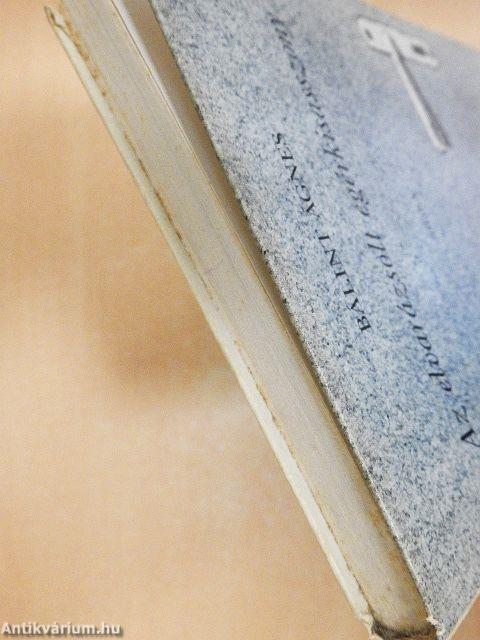 Az elvarázsolt egérkisasszony