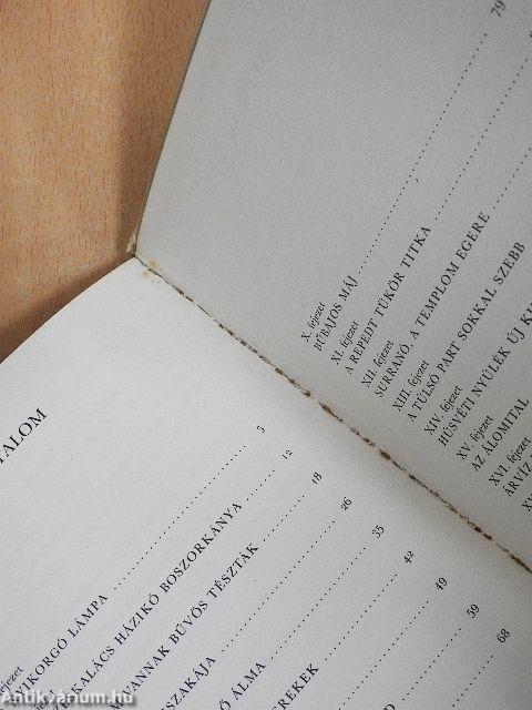 Az elvarázsolt egérkisasszony