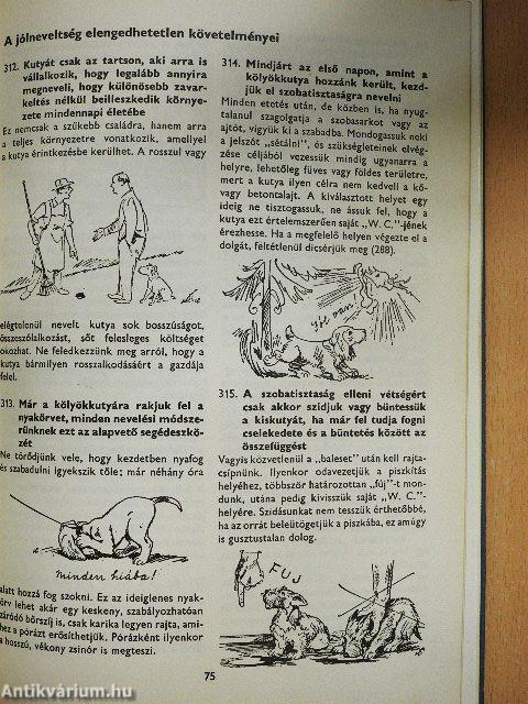 400 tanács kutyakedvelőknek