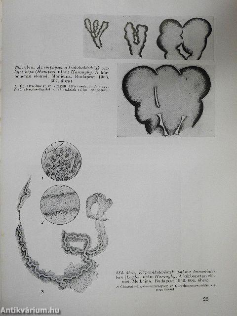 Élettan, kórélettan