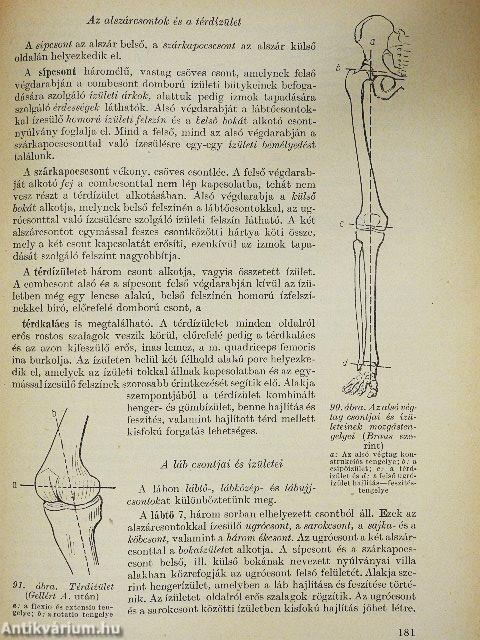 Élettan, kórélettan