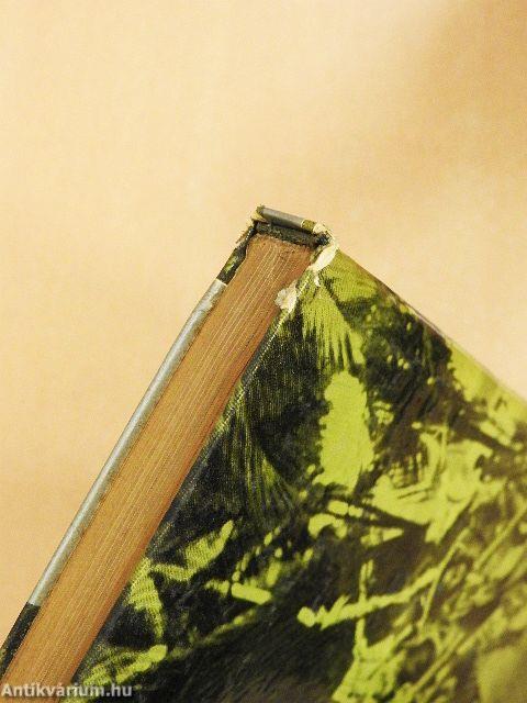 Egyszemélyes expedíció