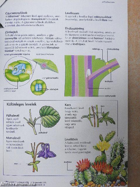 Biológia képes szótár