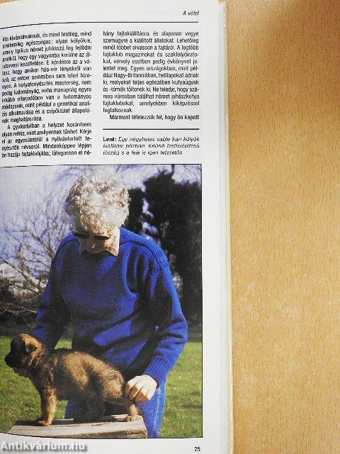 A német juhászkutya