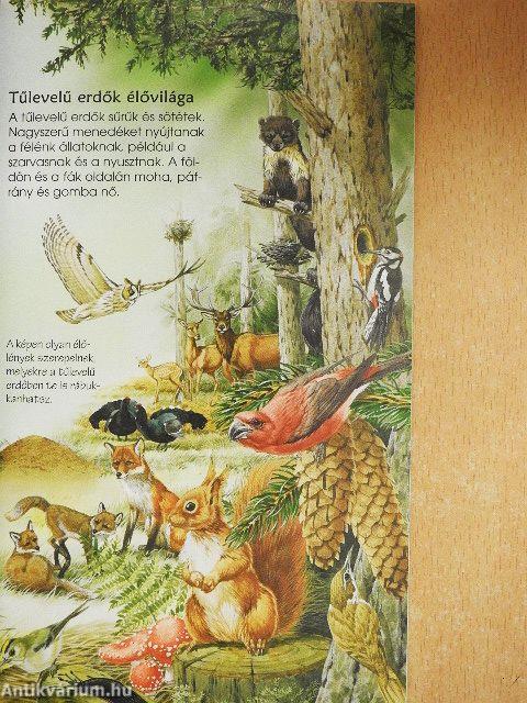 Erdei élővilág
