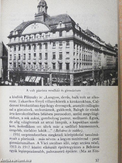Pilinszky János alkotásai és vallomásai tükrében