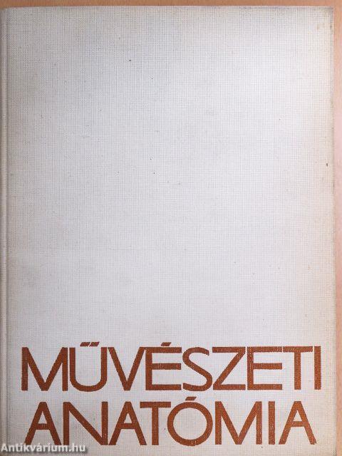 Művészeti anatómia