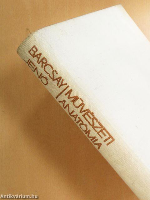 Művészeti anatómia