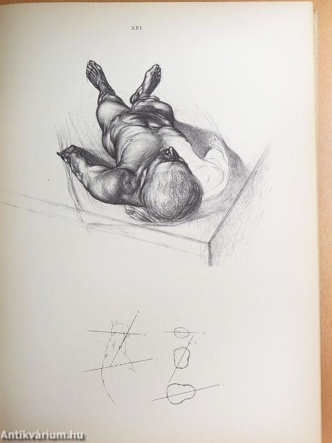 Művészeti anatómia