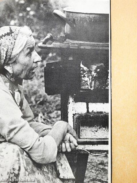 Cigány népballadák és keservesek