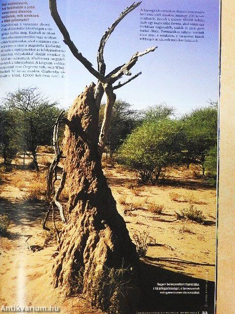 Nimród Safari 2016/1-4.