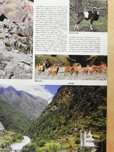 Nimród Safari 2012/1-4.