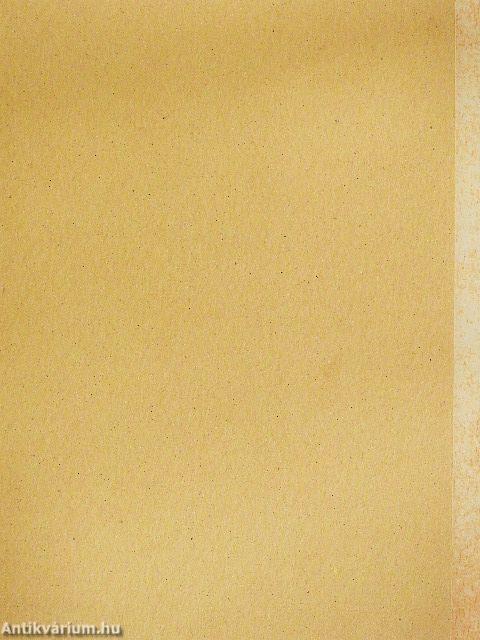 A királylány bűvös cipője