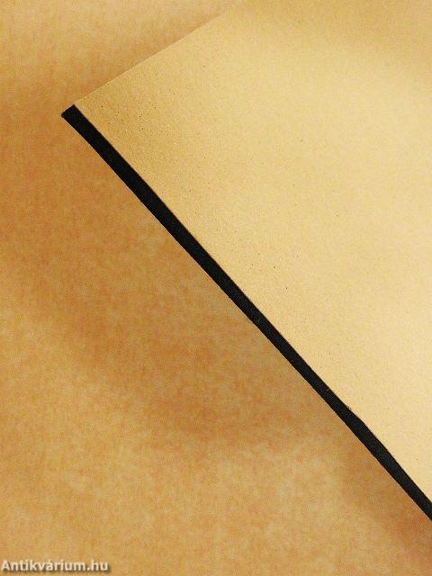 A királylány bűvös cipője