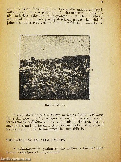 Rizstermesztési útmutató