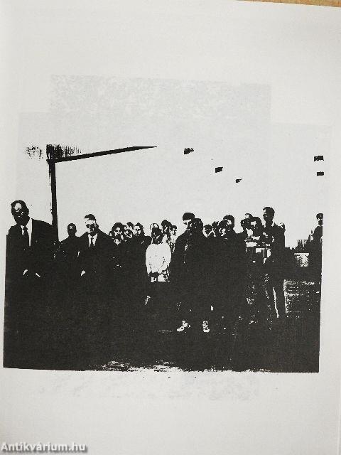 Első Magyar-Dán Termelő Iskola Alapítvány 1995/96.