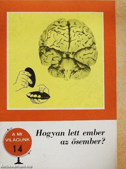 Hogyan lett ember az ősember?