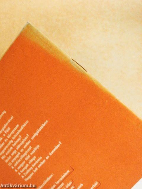 Hogyan lett ember az ősember?