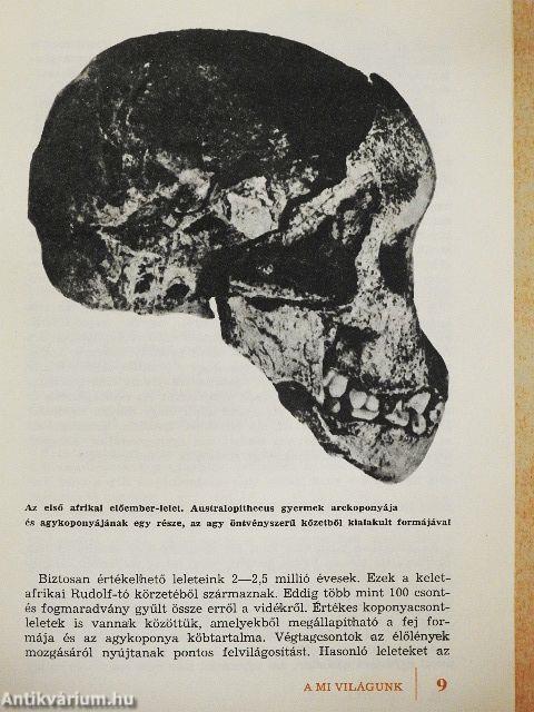 Hogyan lett ember az ősember?