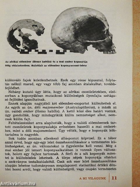 Hogyan lett ember az ősember?