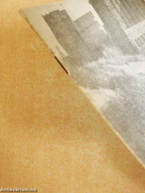 A létezés-szakmában dolgozom