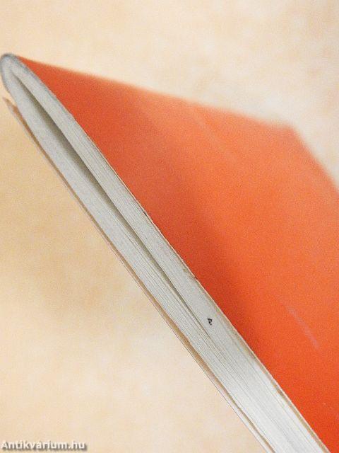 Francia kisokos - Nyelvtani összefoglaló