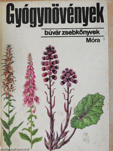 Gyógynövények