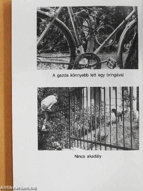 Balekok és bűnözők