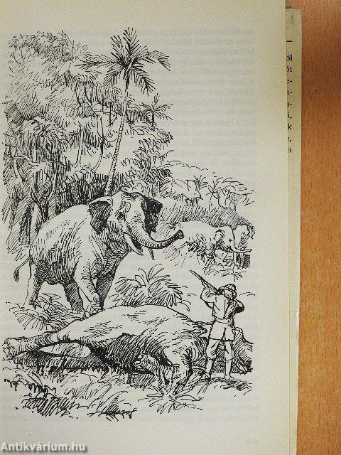 Nagyvadak hazájában