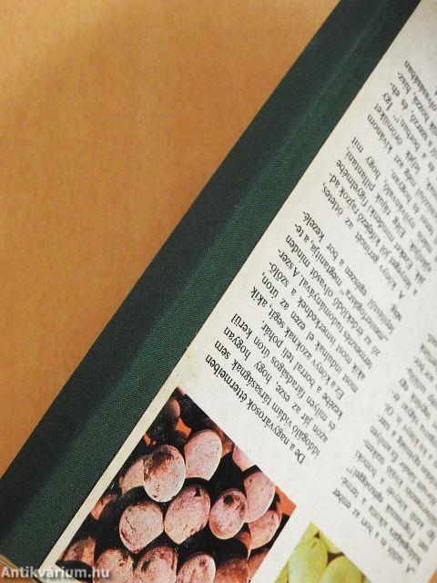 Szőlő a házikertben