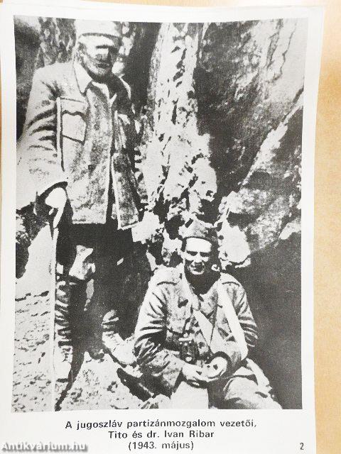 Negyvenöt éves a jugoszláv néphadsereg