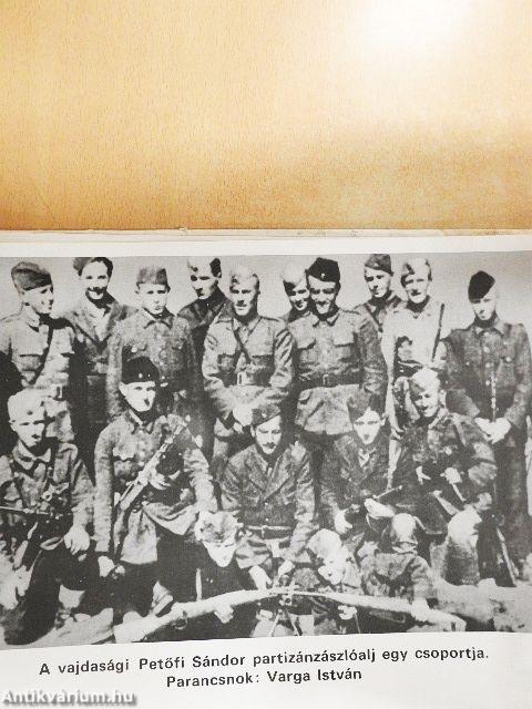 Negyvenöt éves a jugoszláv néphadsereg