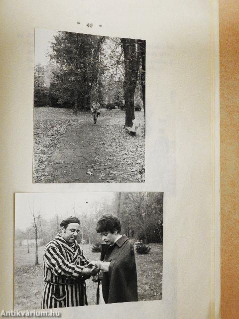 A gyógytorna szerepe a szivmütéten és a szivizominfarktuson átesett betegek rehabilitációjában