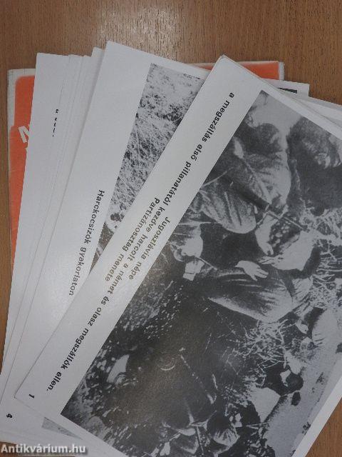 Negyvenöt éves a jugoszláv néphadsereg