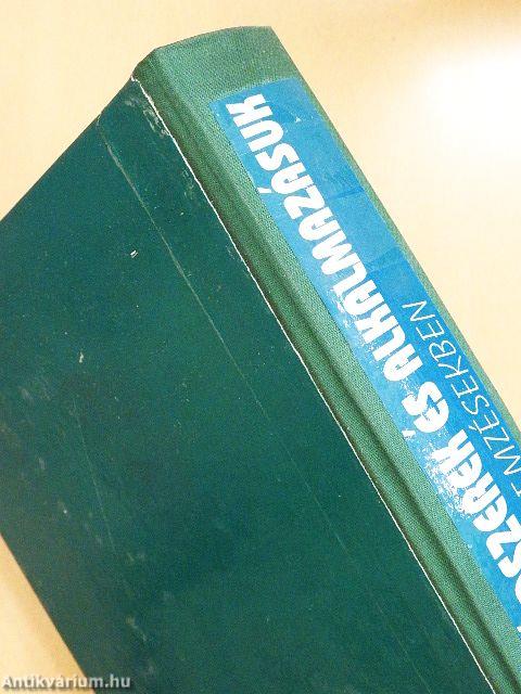 Statisztikai módszerek és alkalmazásuk a gazdasági, üzleti elemzésekben