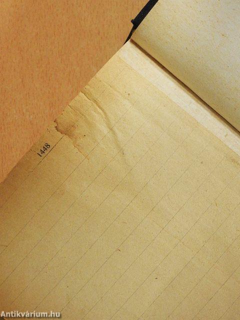 Magyar-angol szótár