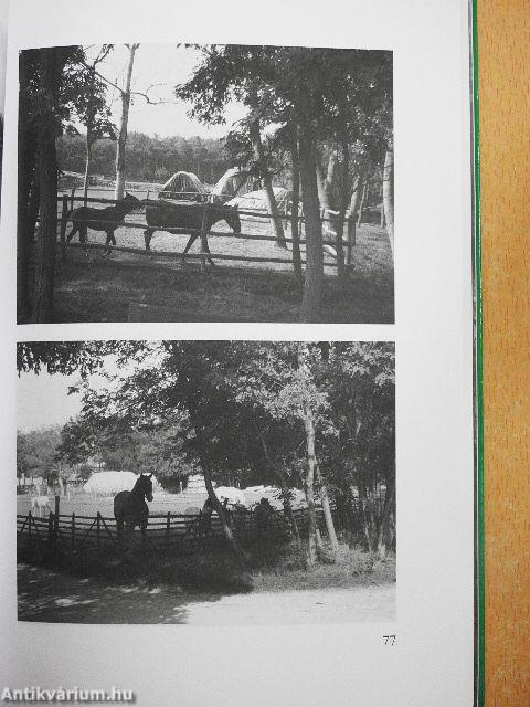 Utazások tirpákföldön