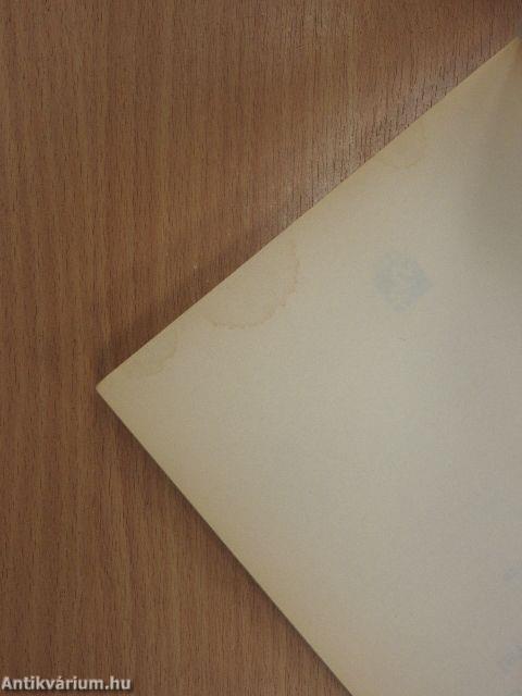 Angol-magyar informatikai fordítói szótár