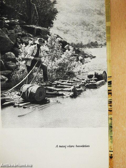 Tutajjal a fáraók aranybányáihoz