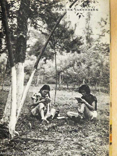 Kantontól a Nagy Falig