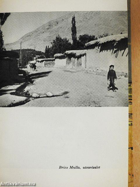 Hegyen-völgyön