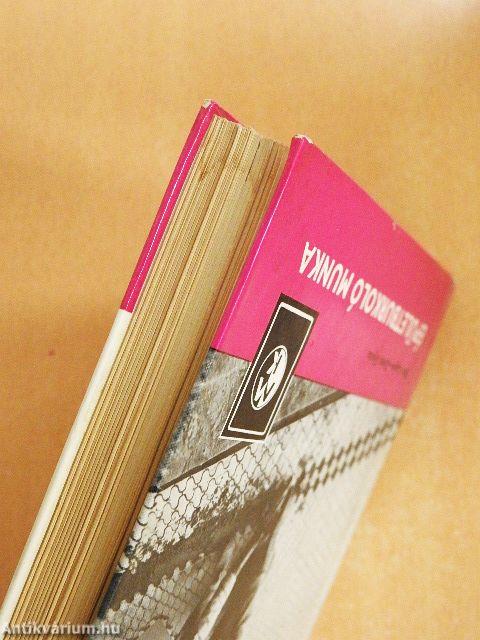 Épületburkoló munka