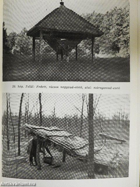 Vadgazdálkodás és vadászat