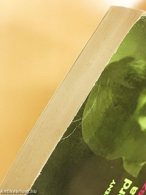 Ismerd meg a tranzisztort