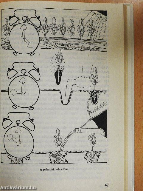 Fűszer- és gyógynövények a kiskertben és a házunk táján