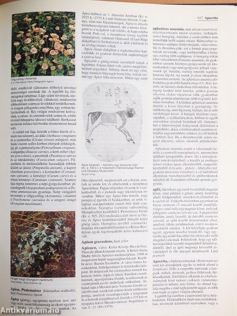 Britannica Hungarica Világenciklopédia 1-20.